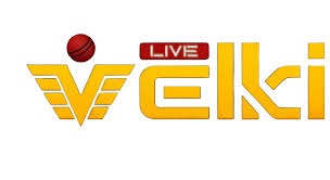 Velki Agent 365: Expert Tips for Casino Lovers on Velki 365 Platform